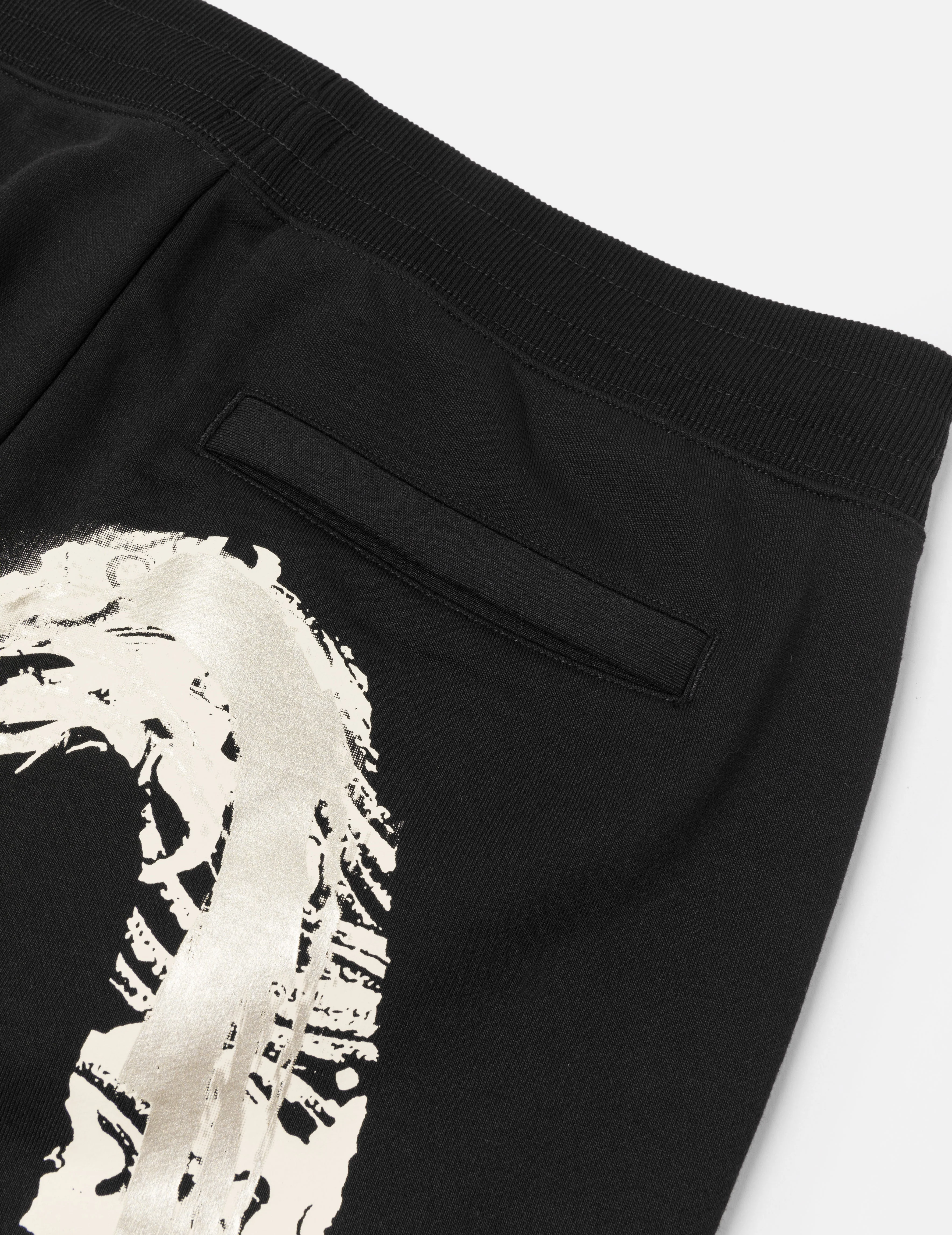 Artistic Brush Daicock Print Regular Fit Sweatshorts - Image 6