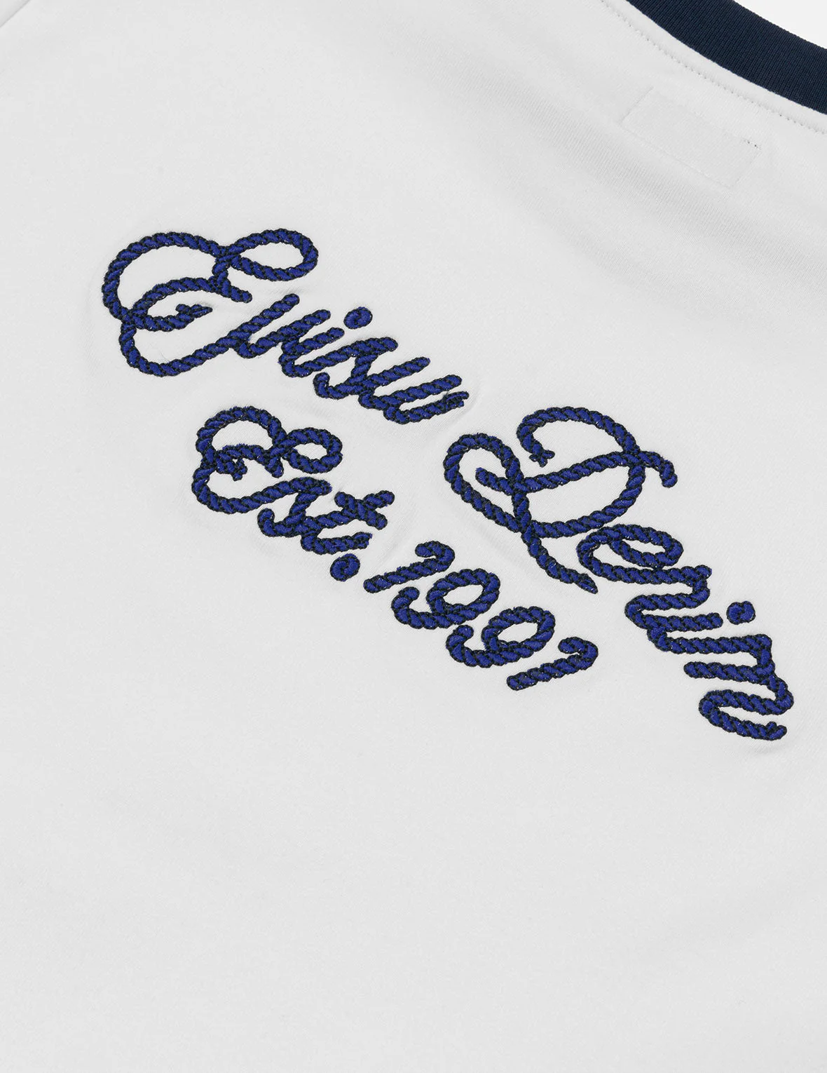 Contrast 3D Seagull and Slogan Embroidery Slim Fit T-Shirt - Image 5