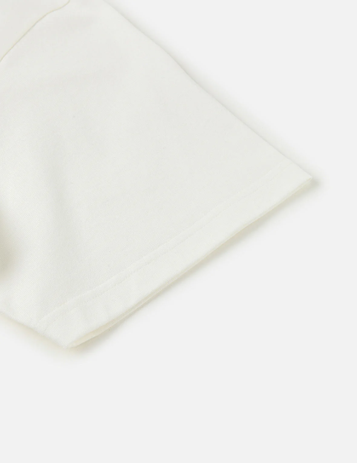 Hand-Brushed Seagull Print T-Shirt - Image 32