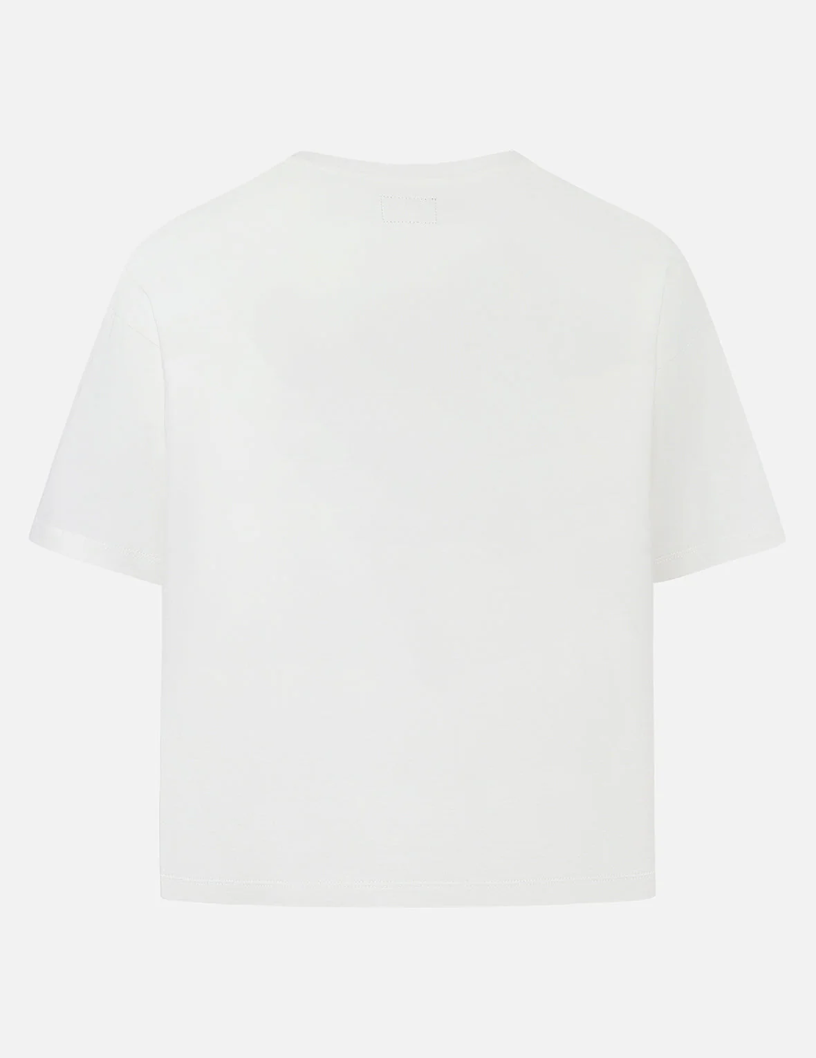 Seagull and Hummingbird Print Cropped T-shirt - Image 2