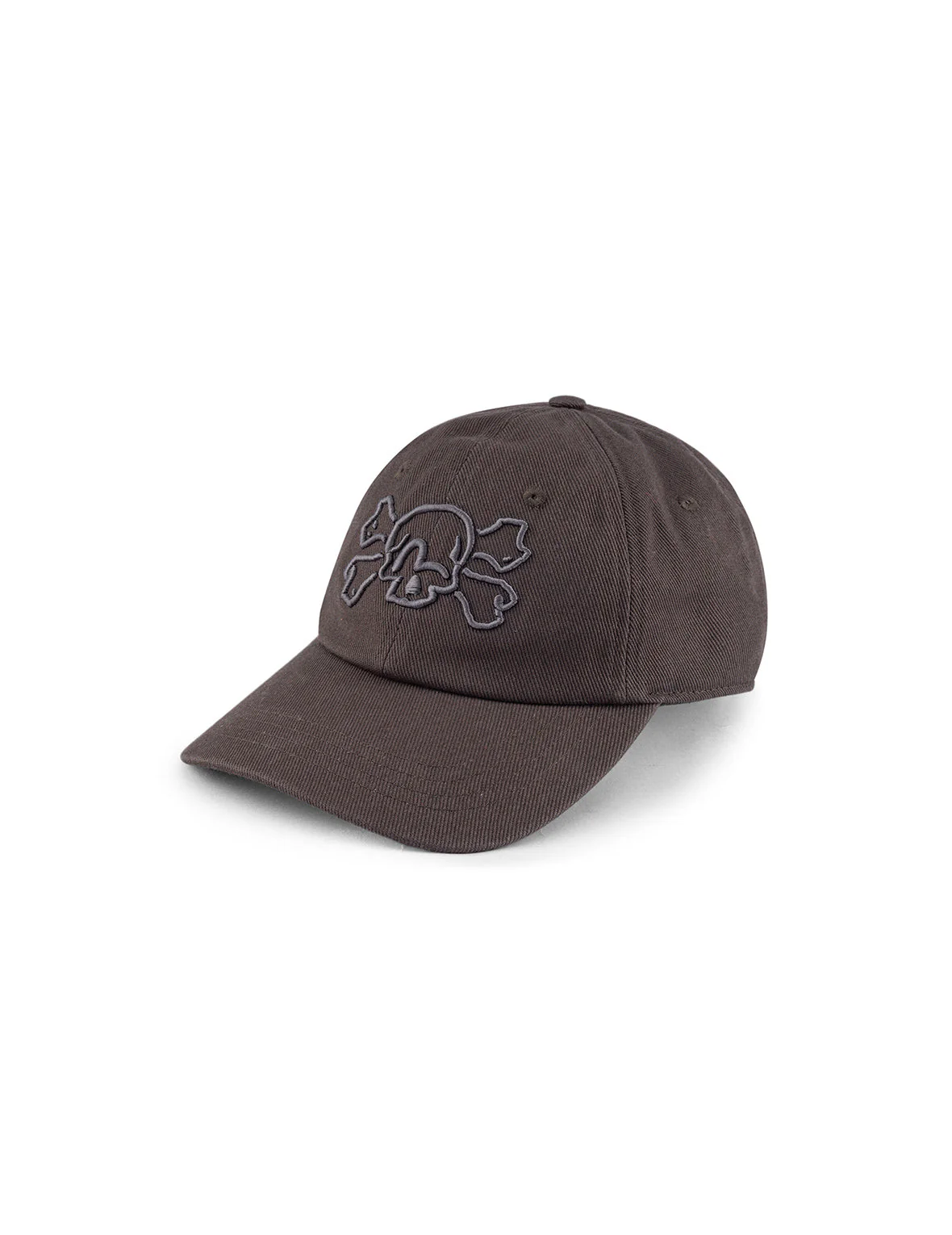 Skull and Seagull Embroidery Cap