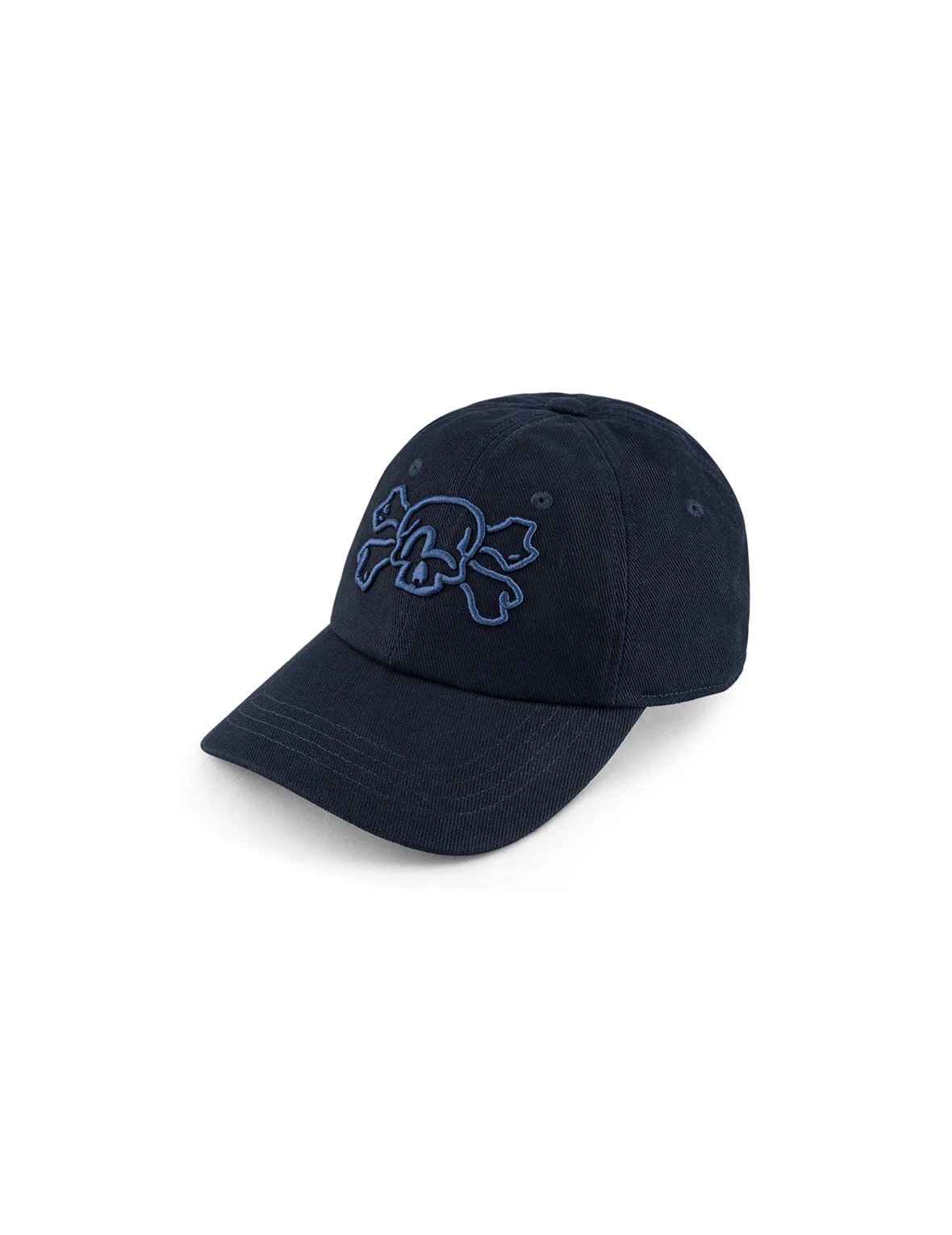Skull and Seagull Embroidery Cap - Image 2