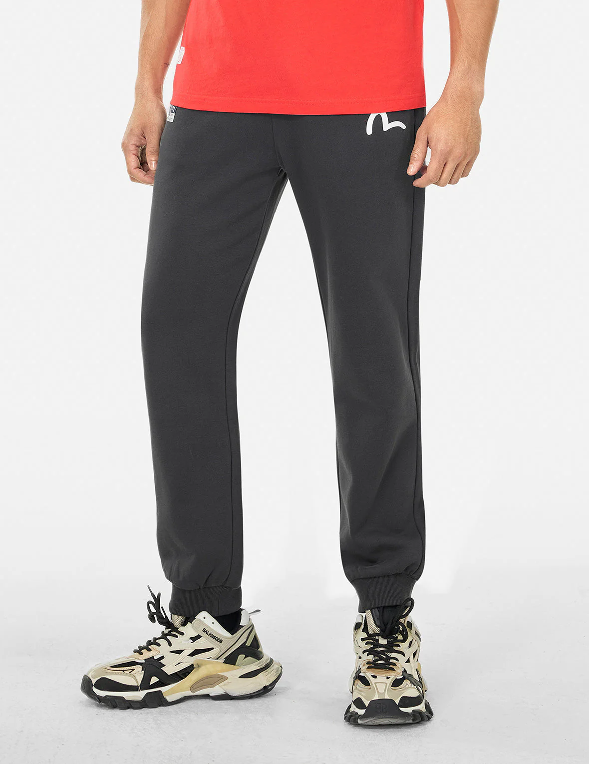 Spray-dyed Seagull and Logo Print Straight Fit Sweatpants - Image 11